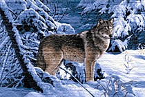 Гобелен "Волк в лесу"50x77